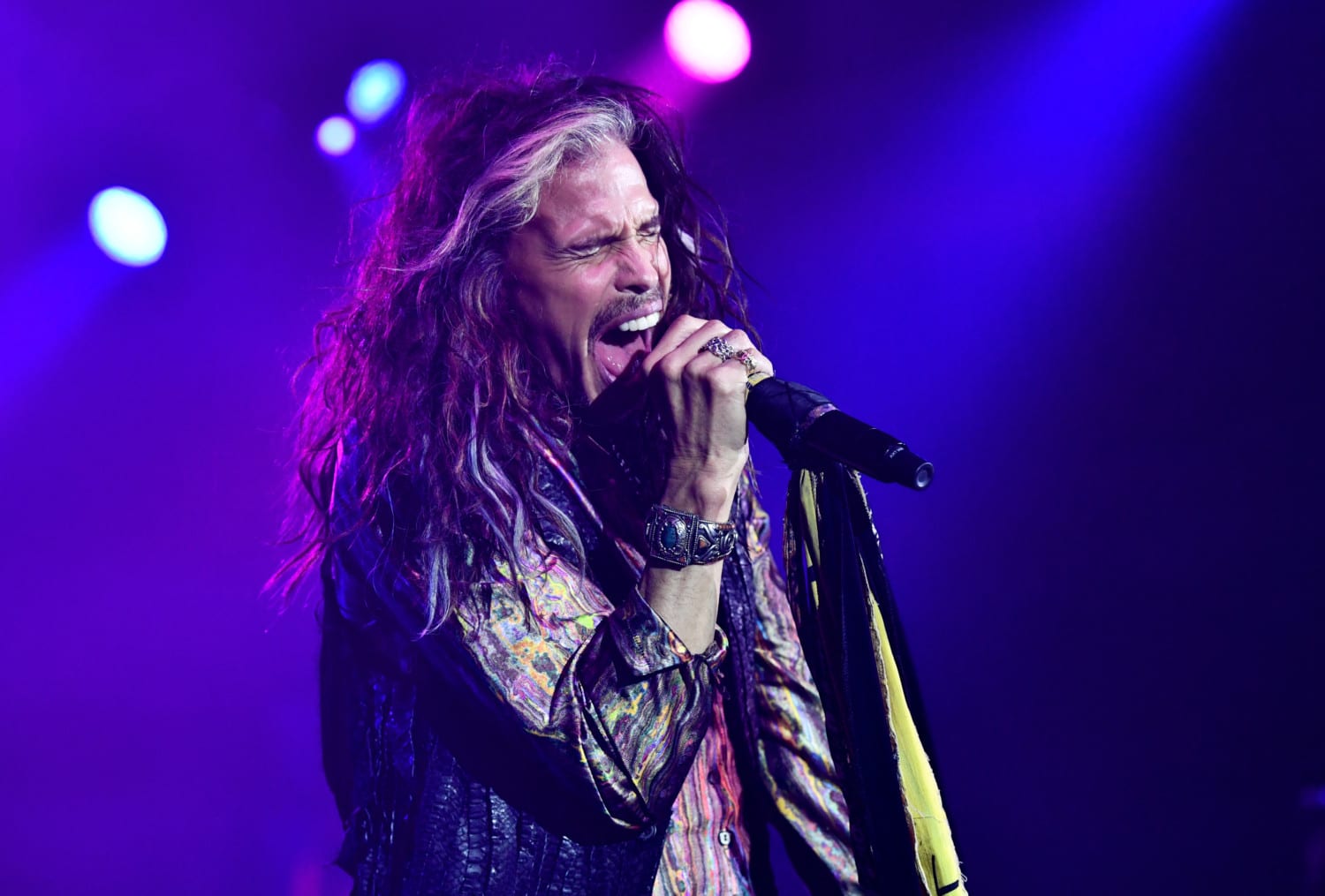 Steven Tyler Photo The Delite