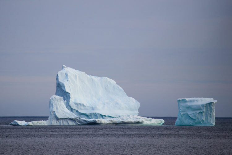 Icebergs Off Coast Of Canada's Newfoundland Draw Tourists To Area - The ...