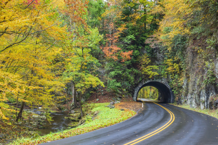 Smoky Mountain Tunnel With Colorful Autumn Foliage The Delite